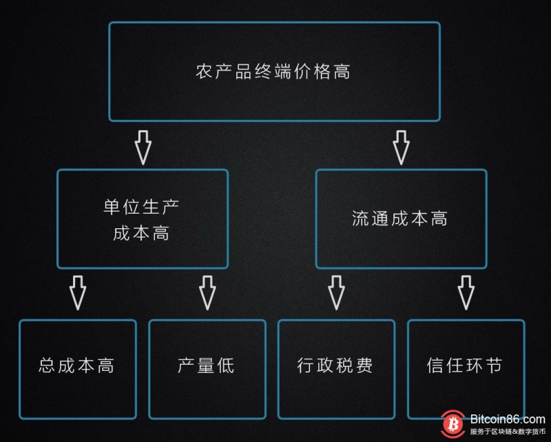 最传统与最前沿的碰撞:当农业遇上区块链