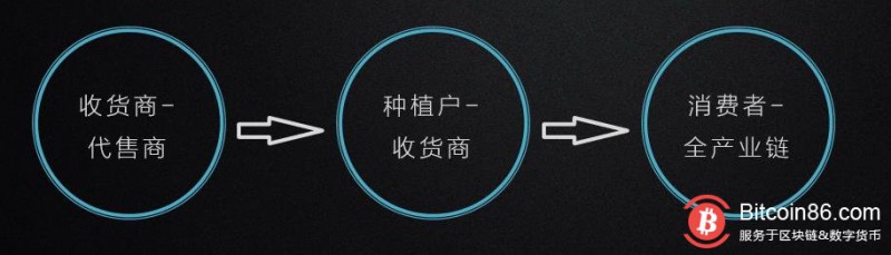 最传统与最前沿的碰撞:当农业遇上区块链